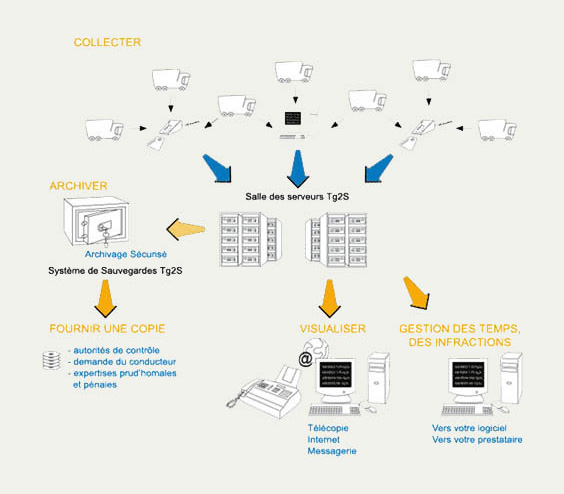 schema